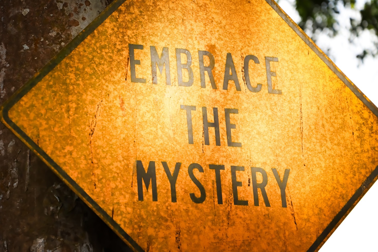 Unlocking Your Inner Potential for Happiness